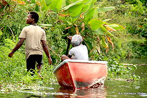 canoe